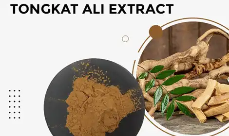 What Does Tongkat Ali Extract Do?